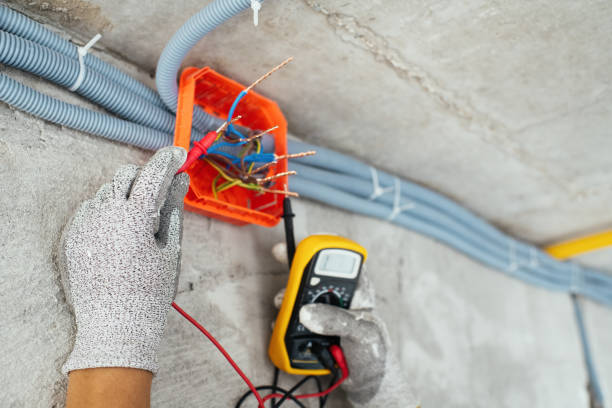 Best Electrician for Home Renovation  in Davison, MI