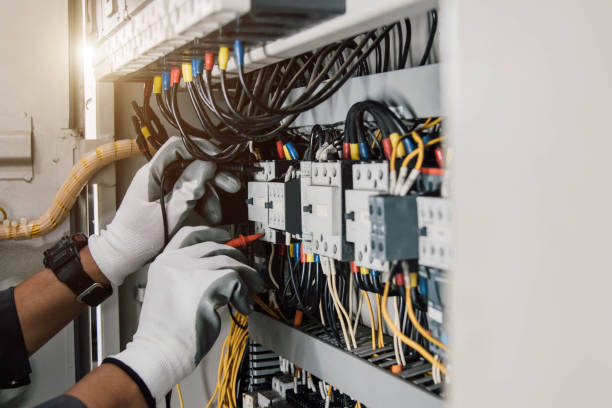Best Electrical System Inspection  in Davison, MI